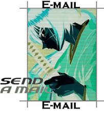 E-mail