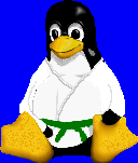 Ju-Jutsu Pingu (6 KB)