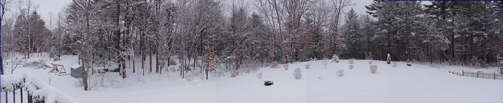 snowy backyard