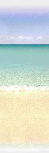 shore.jpg