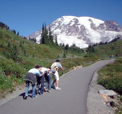 UGH. Can't...make it...up the...mountain.