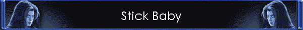 Stick Baby