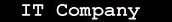 IT Company
