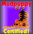 Mudpuppy Certified Links