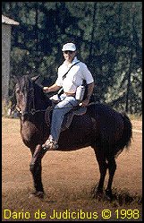 Equitazione