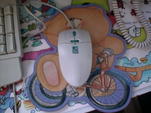 mouse