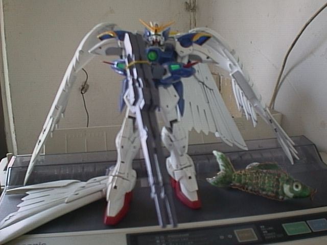 gundomNfish
