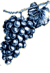 vi.gif (2892 bytes)