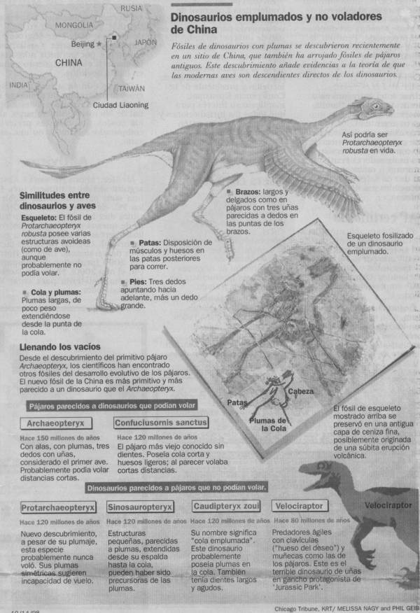 Dinoave1.jpg (85055 bytes)