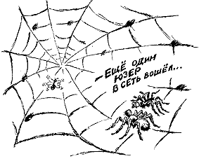 Net