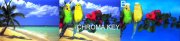 Chroma key