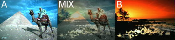 Mix