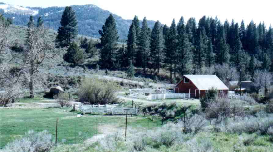 Farm and meadow