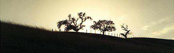 Sunset at the Dish