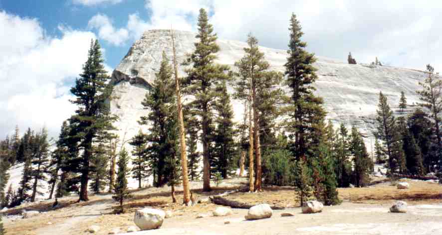 Lembert dome