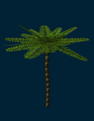 plant_15.jpg (67 Kb)