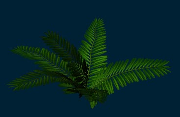 plant_18.jpg (59 Kb)