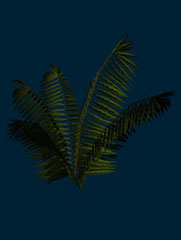 plant_2.jpg (114 Kb)