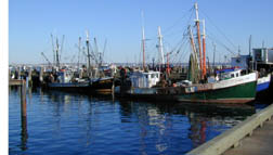 Mac Millan Whar - Provincetown, Ma. Oct. 2000