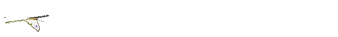 flybutter.gif (35507 bytes)