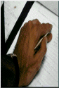writing