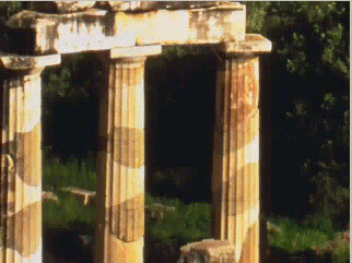remains of oracle