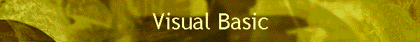 Visual Basic