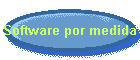 Software por medida