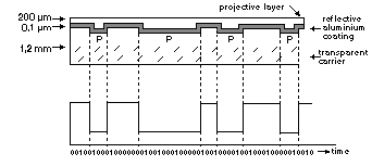 plasn.bmp (52702 octets)