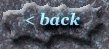 lilac_back.gif (6436 bytes)