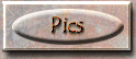 summer_pics.gif (6793 bytes)