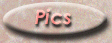 tearose_pics.gif (5507 bytes)