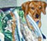 Little pict of max