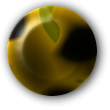 Rounded Button