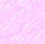 rose pastel