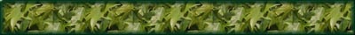 banner blank