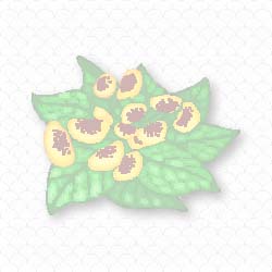flower tile