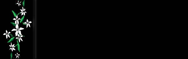 white floral border