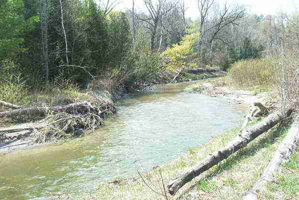West Duffins Creek