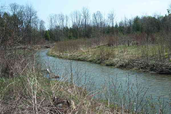 West Duffins Creek