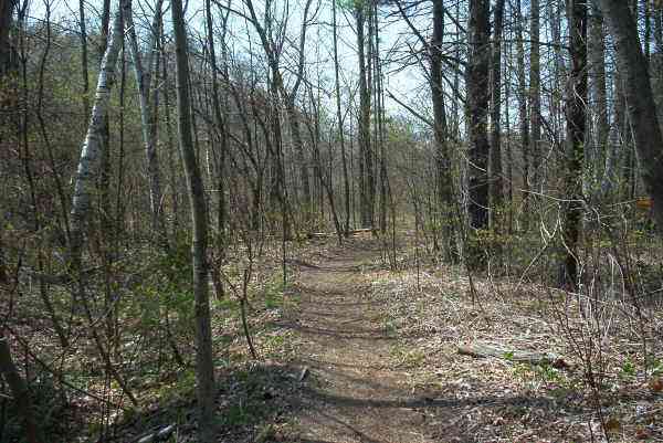 Seaton trail