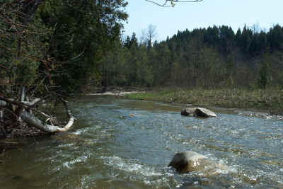West Duffins Creek