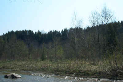 West Duffins Creek