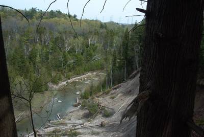 West Duffins Creek - more views from the ridge