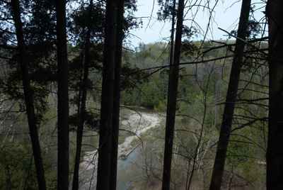 West Duffins Creek - view from the ridge