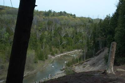 West Duffins Creek - view from the ridge