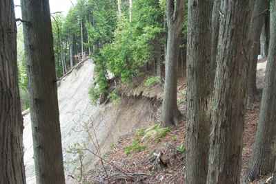 West Duffins Creek - more views from the ridge