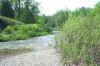 West Duffins Creek