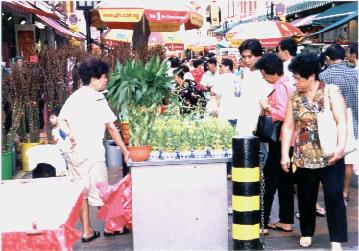 Plants Sale @ Trengganu Street (near Chinatown)!