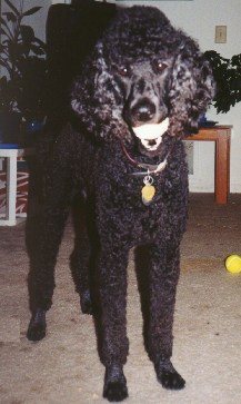 Jamey #2 - June 1999
